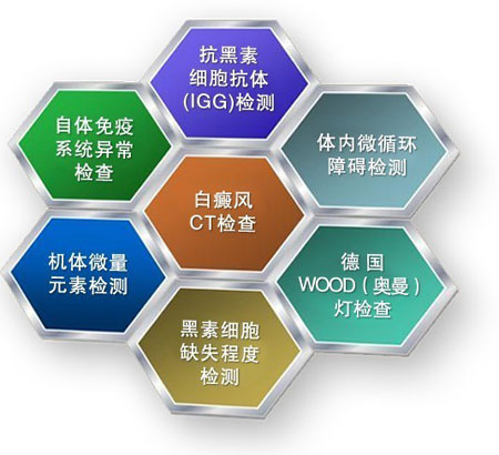 3-110616135630610.jpg